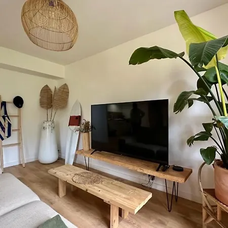 Bright Cocoon With Garden In * Bordeaux